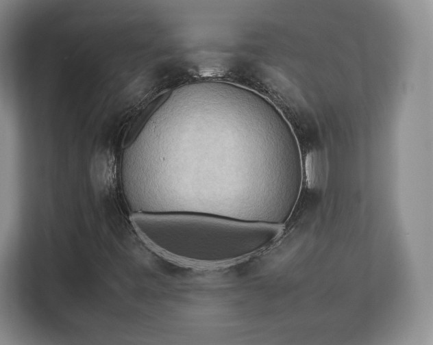 X0000111211443200907081252