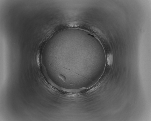 X0000111211444200907081252