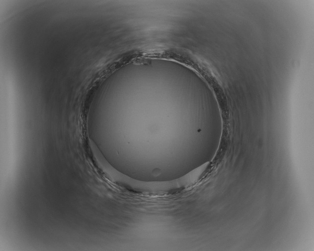 X0000111211445200907081252