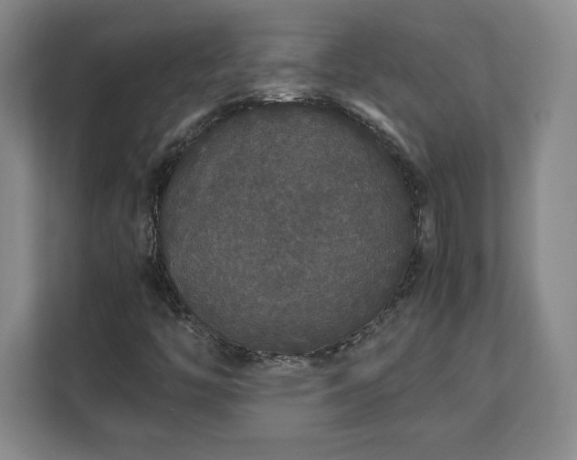 X0000111211446200907081252