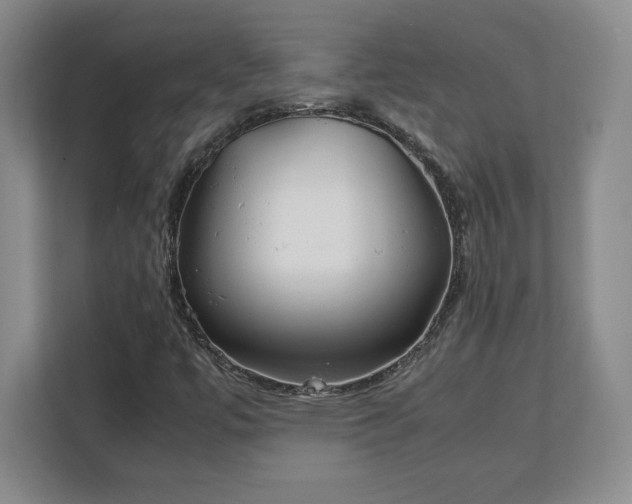 X0000111211447200907081252