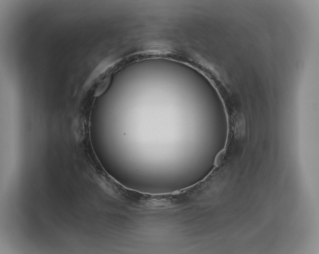 X0000111211448200907081252