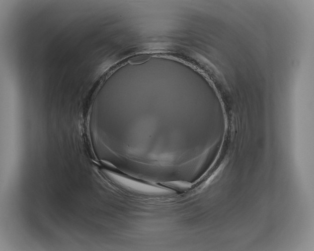 X0000111211449200907081252