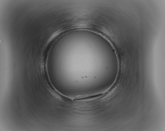 X0000111211450200907081252