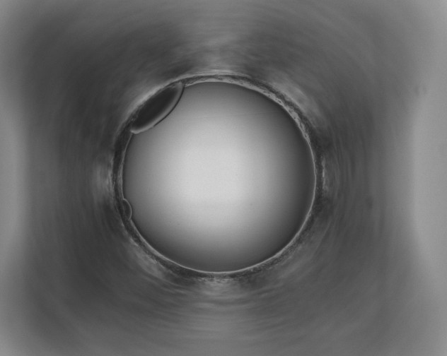 X0000111211452200907081252