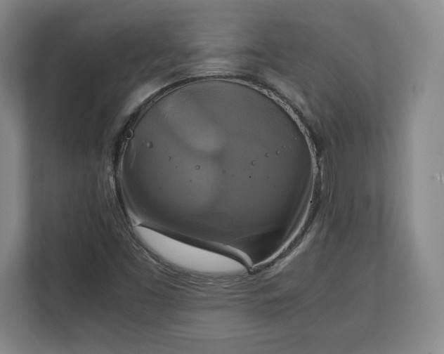 X0000111211453200907081252