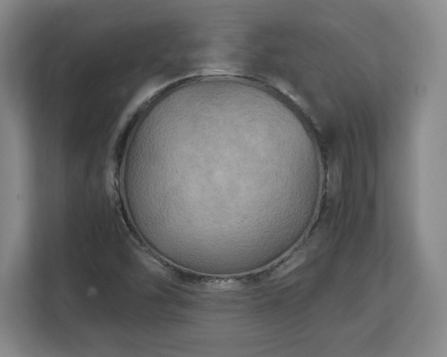 X0000111211454200907081252