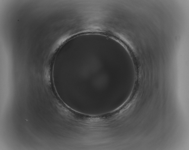 X0000111211455200907081252