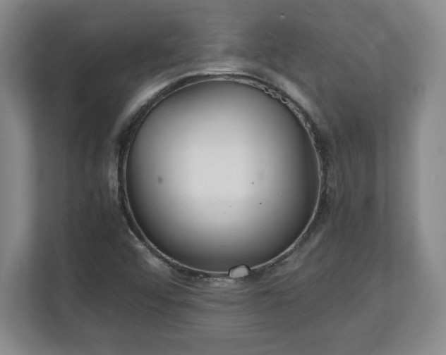 X0000111211456200907081252