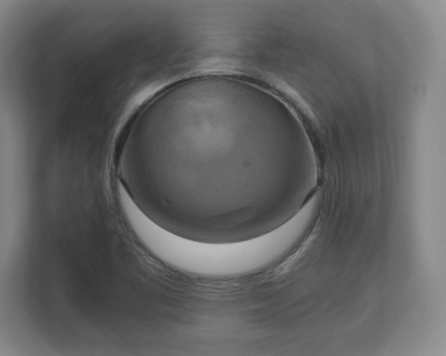 X0000111211461200907081252