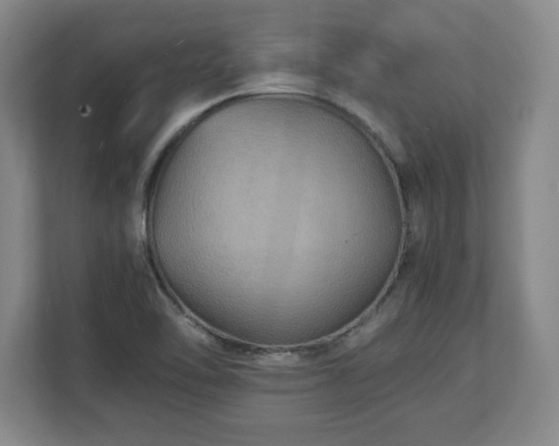 X0000111211462200907081252