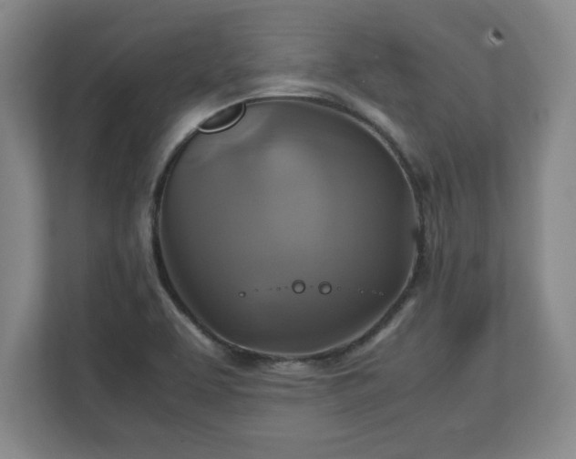 X0000111211463200907081252