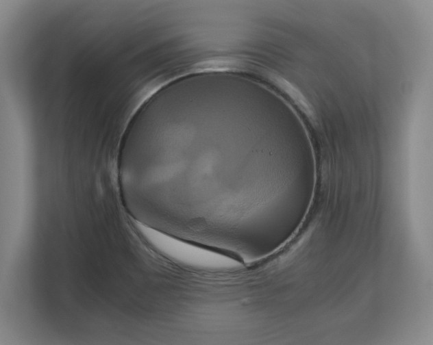 X0000111211465200907081252