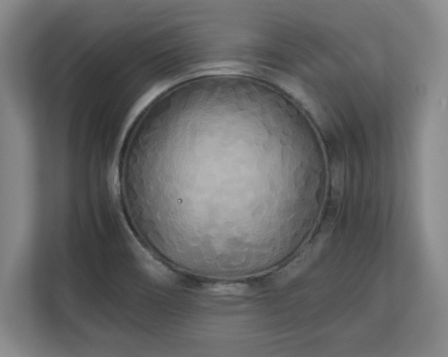 X0000111211466200907081252