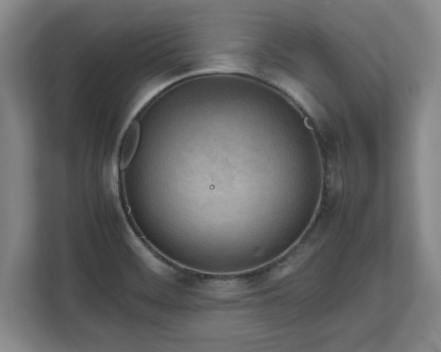 X0000111211468200907081252