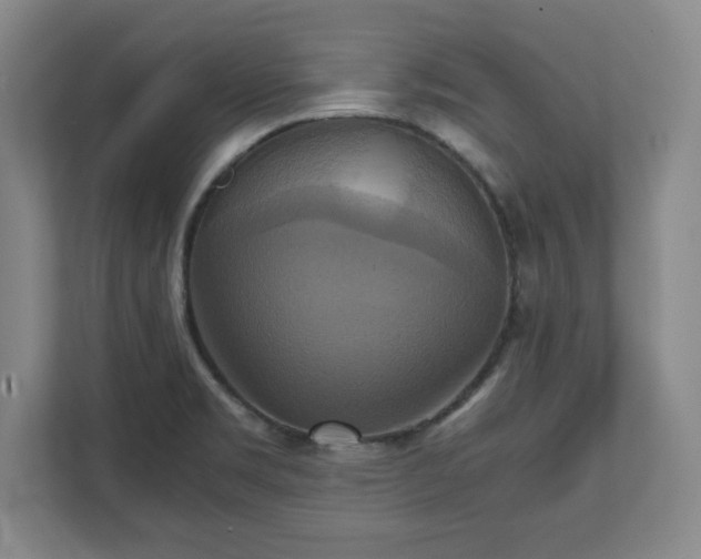 X0000111211469200907081252