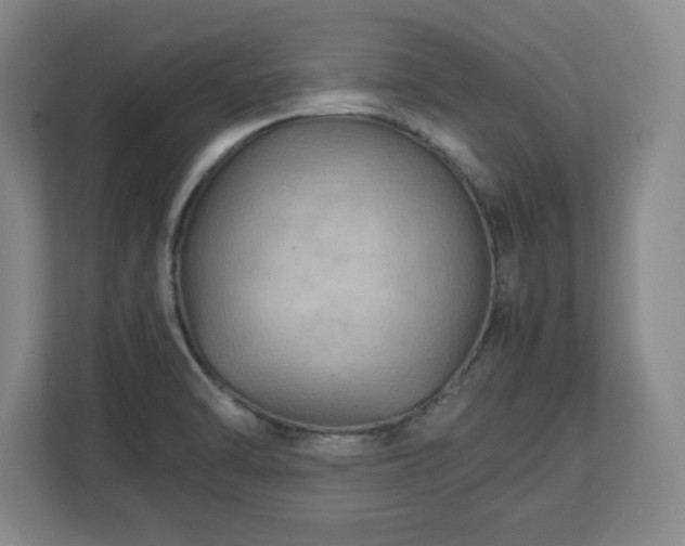 X0000111211470200907081252