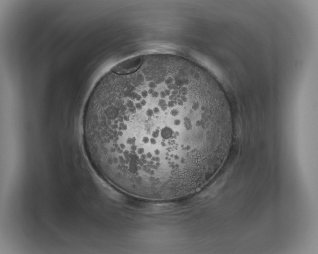 X0000111211471200907081252