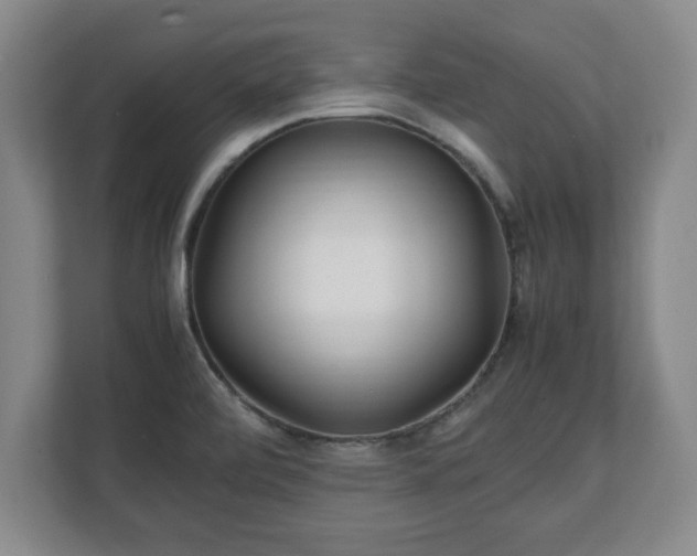 X0000111211472200907081252