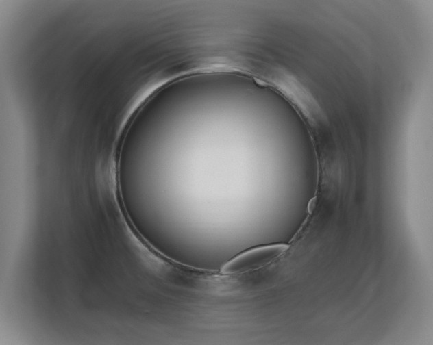 X0000111211476200907081252