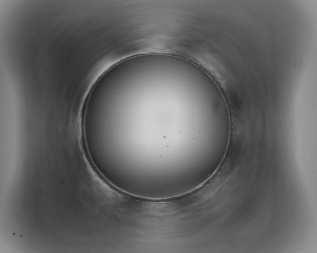 X0000111211479200907081252