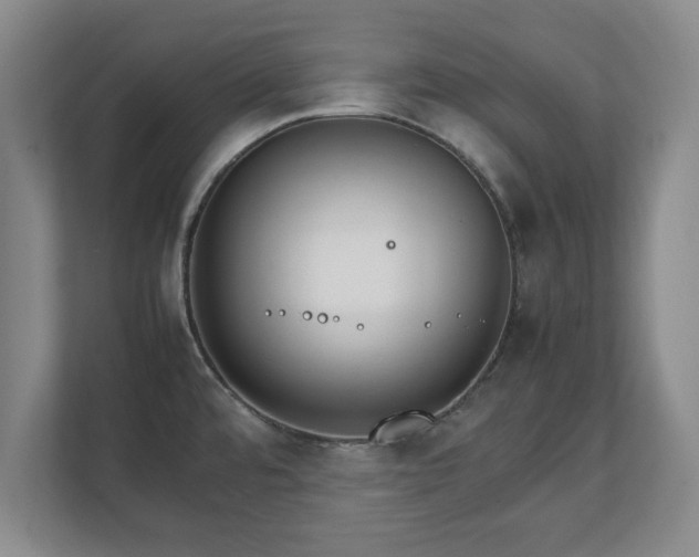 X0000111211480200907081252