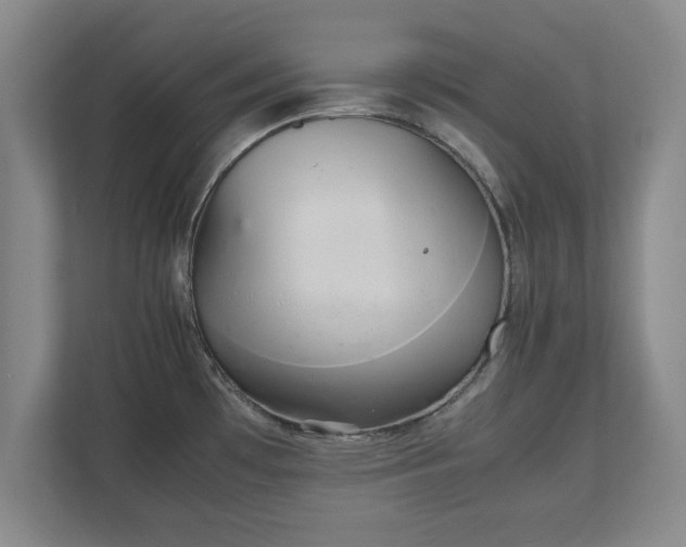 X0000111211481200907081252