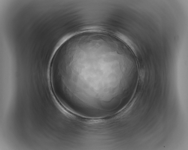 X0000111211482200907081252