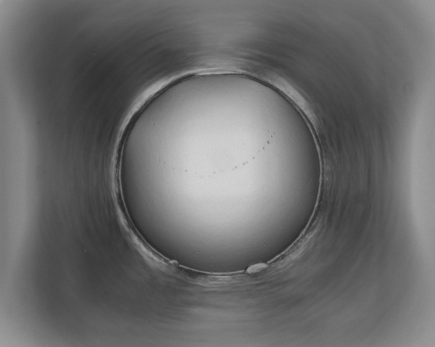 X0000111211485200907081252