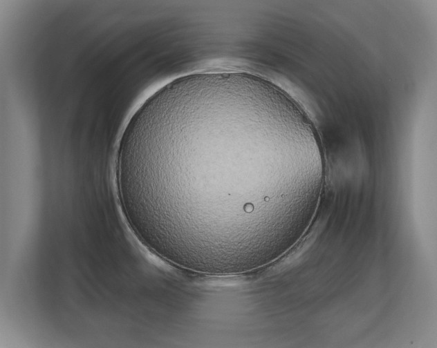 X0000111211486200907081252