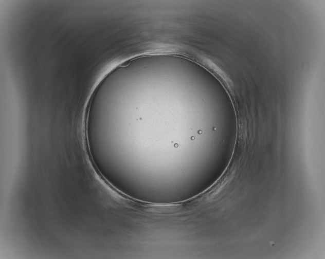 X0000111211487200907081252