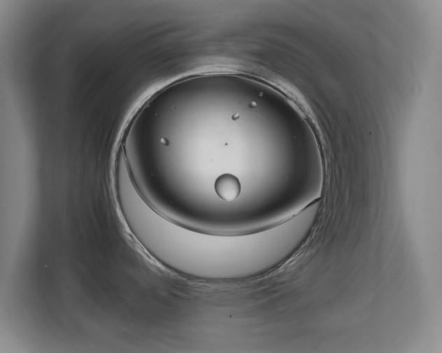 X0000111211488200907081252