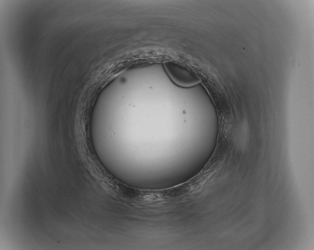 X0000111211489200907081251