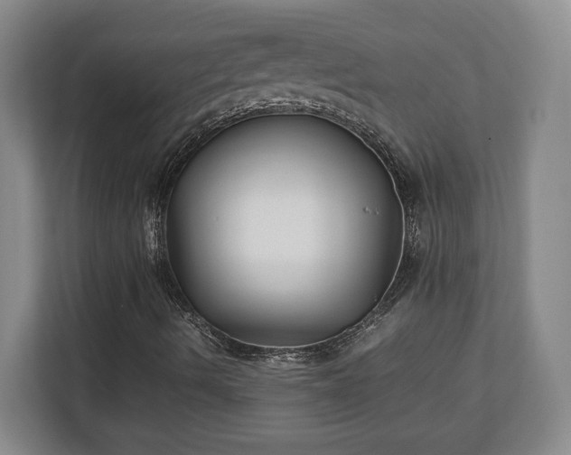 X0000111211490200907081251