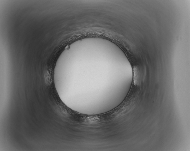 X0000111211491200907081251