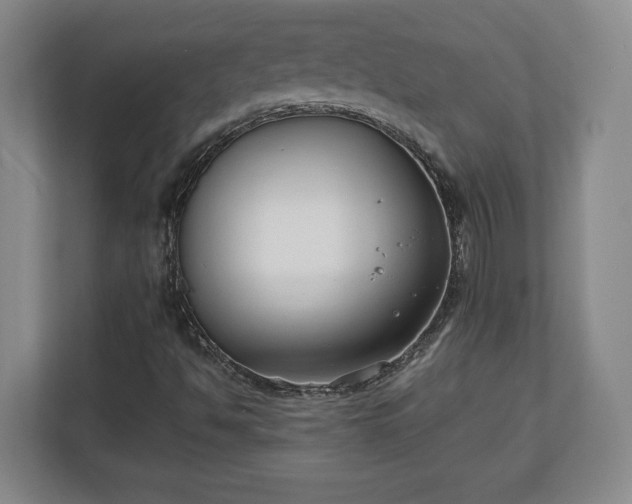 X0000111211494200907081251