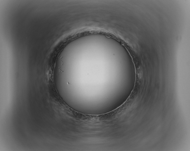 X0000111211495200907081251