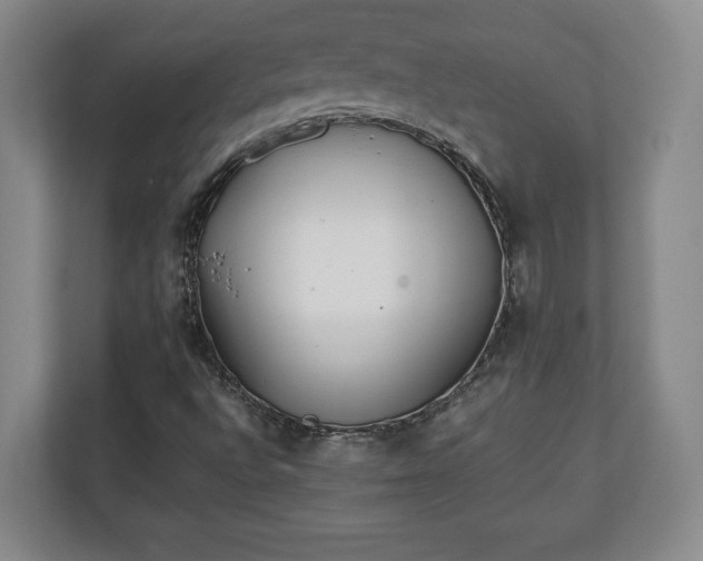 X0000111211496200907081251