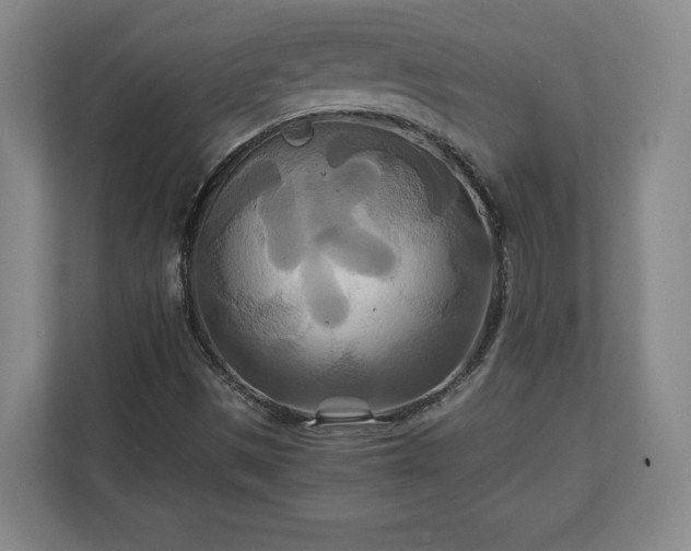 X0000111211497200907081251