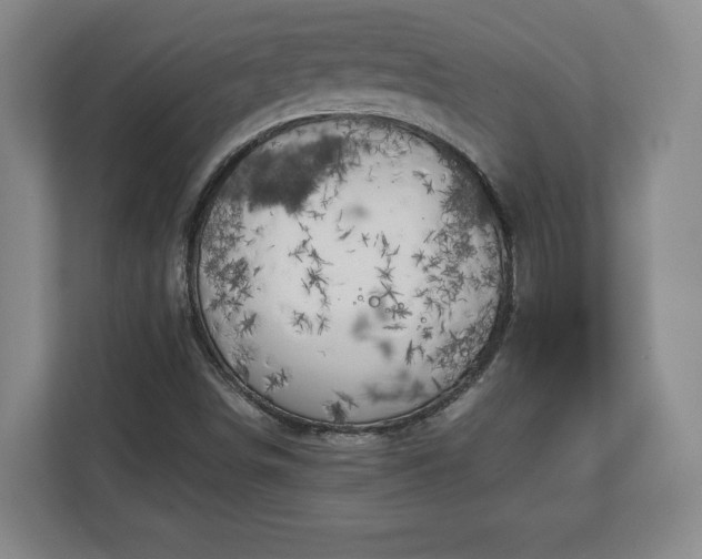 X0000111211498200907081251