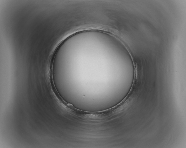 X0000111211500200907081251