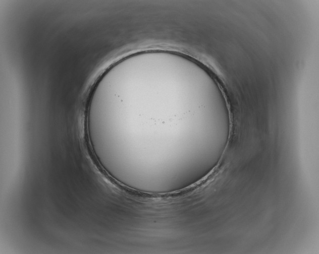 X0000111211504200907081251