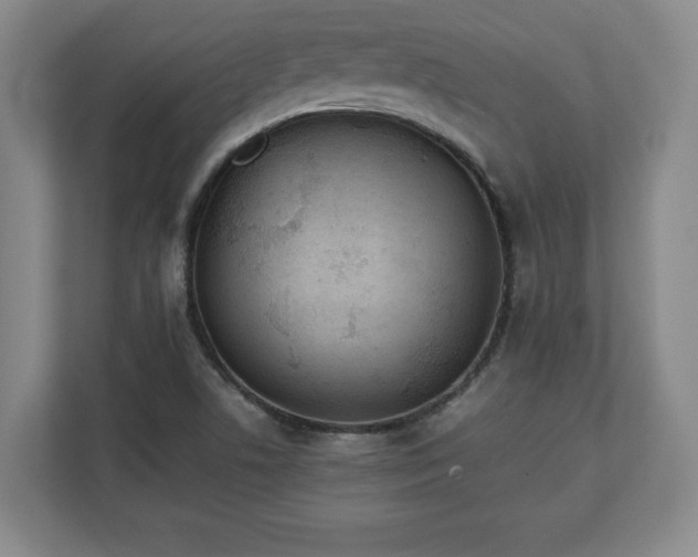 X0000111211506200907081251