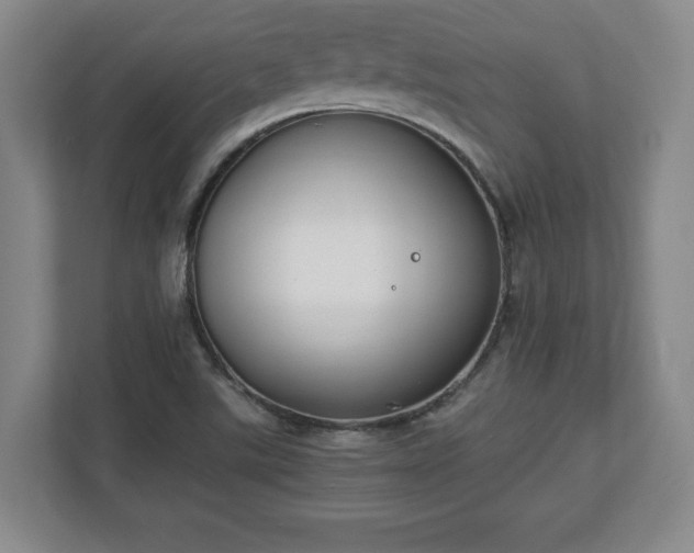 X0000111211507200907081251