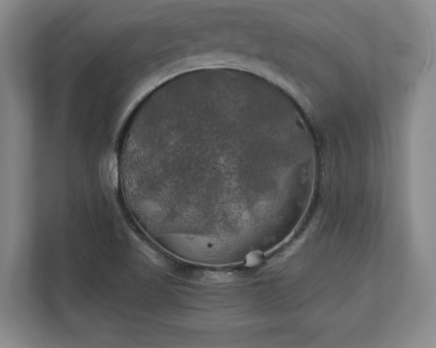 X0000111211509200907081251