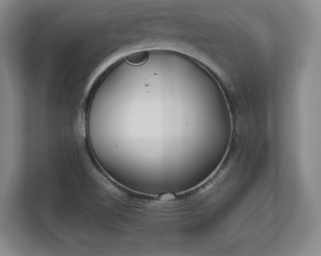 X0000111211510200907081251