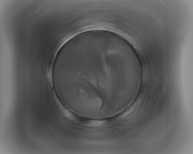 X0000111211513200907081251