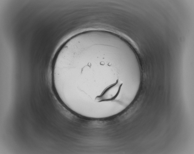 X0000111211514200907081251