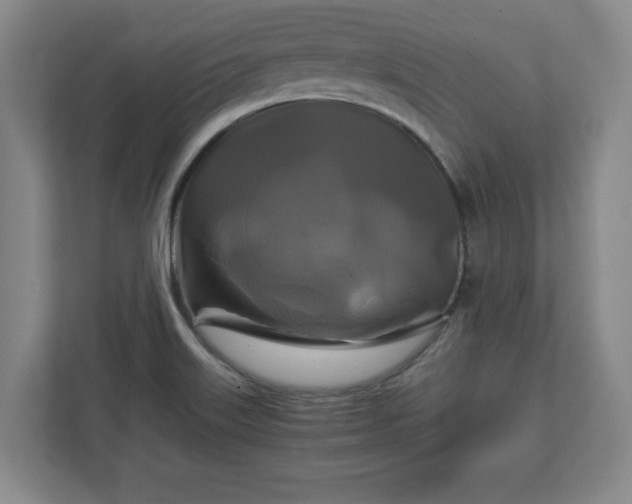 X0000111211515200907081251