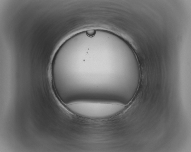 X0000111211516200907081251